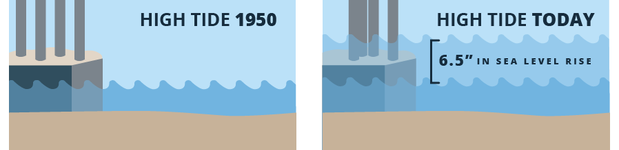hide tide comparison 1950 through 2021 graphics